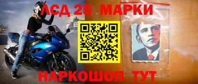 альфа пвп Гусев
