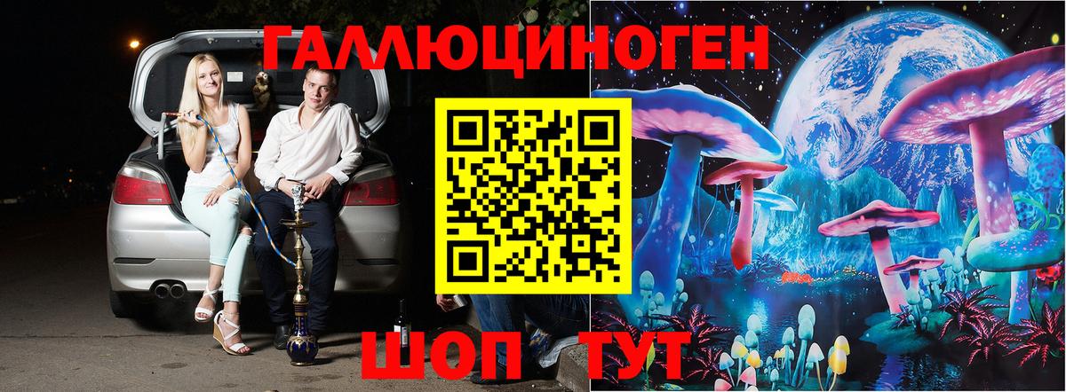 Малгобек  Галлюциногенные грибы Psilocybine cubensis  Псилоцибиновые грибы ЛСД  Вход с VPN 