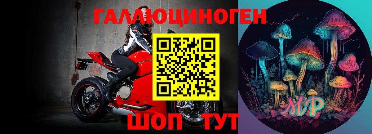 Псилоцибиновые грибы прущие грибы Малгобек